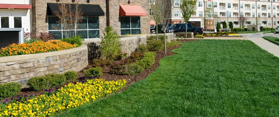 Commercial landscape in Overland Park, KS, with grass and plants.