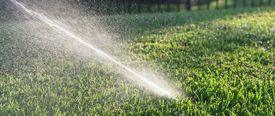 Green grass in Shawnee, KS, with a sprinkler head.