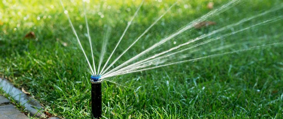 Green grass in Lenexa, KS, with sprinkler irrigation system.