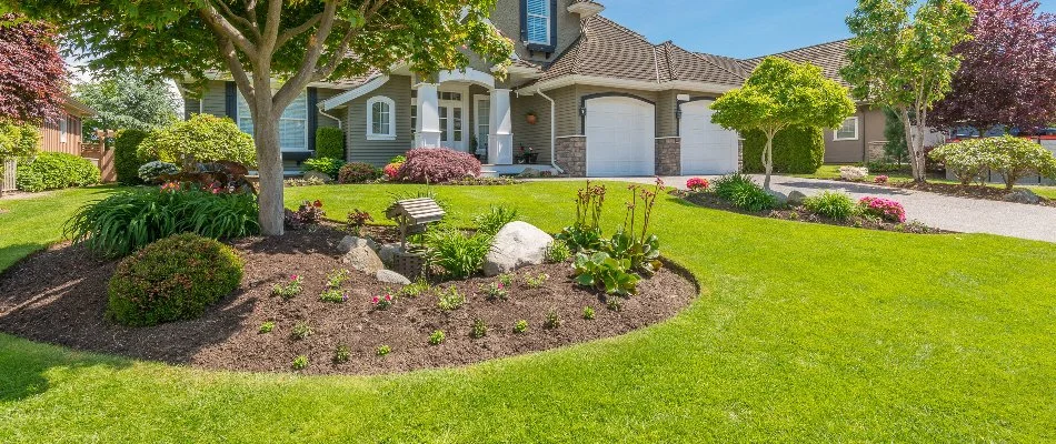 Healthy lawn in Shawnee, KS, with trees and shrubs.