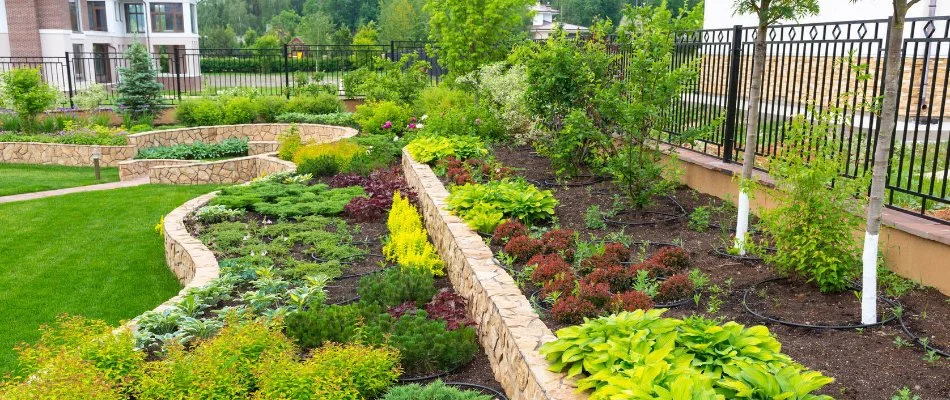 Colorful plants on a raised planter bed in Olathe, KS.